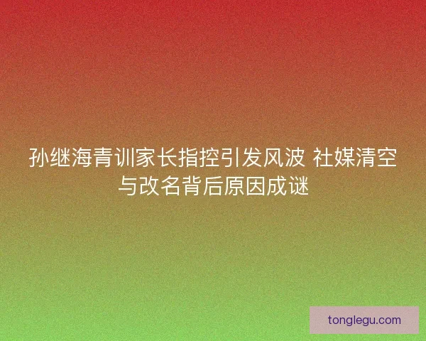 孙继海青训家长指控引发风波 社媒清空与改名背后原因成谜